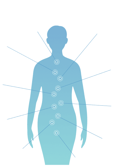 体がスキャンされている画像
