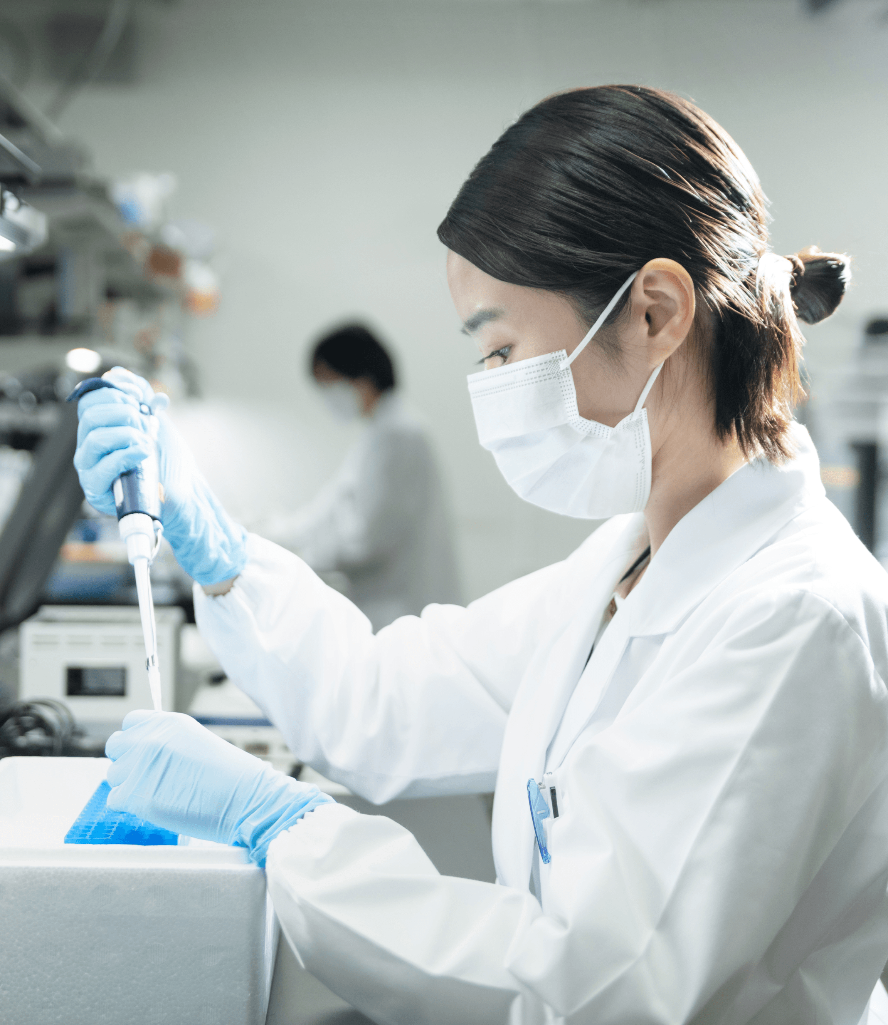 メインビジュアル1