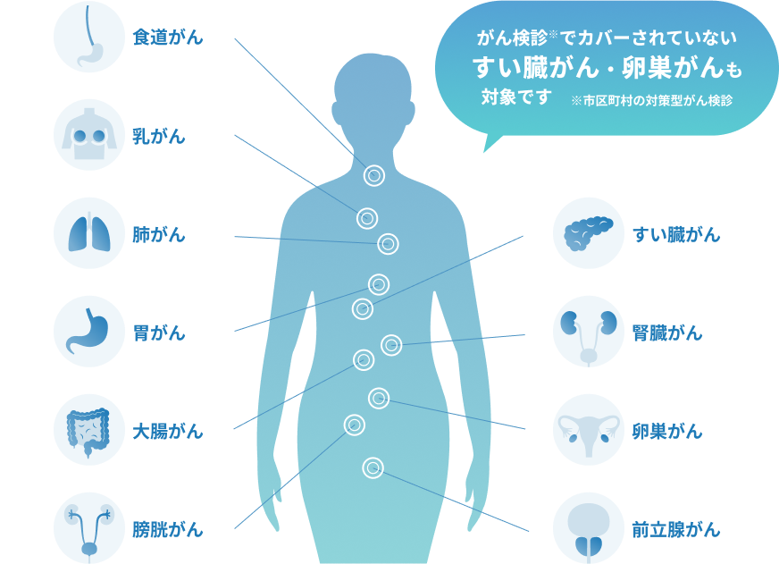10がん種検査可能全身図