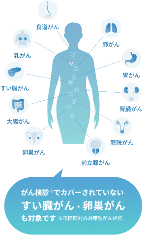 10がん種検査可能全身図