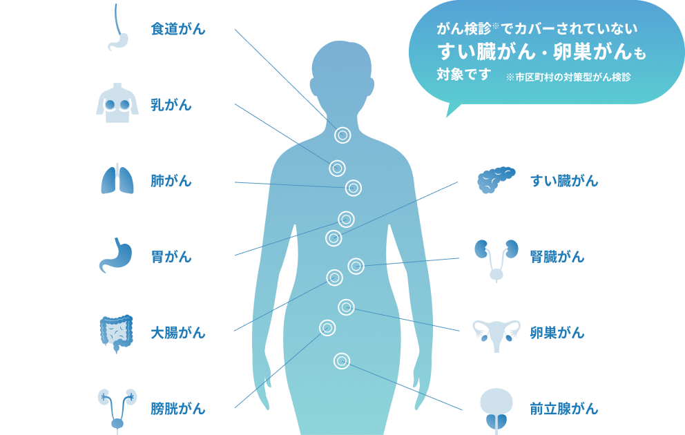 10がん種検査可能全身図