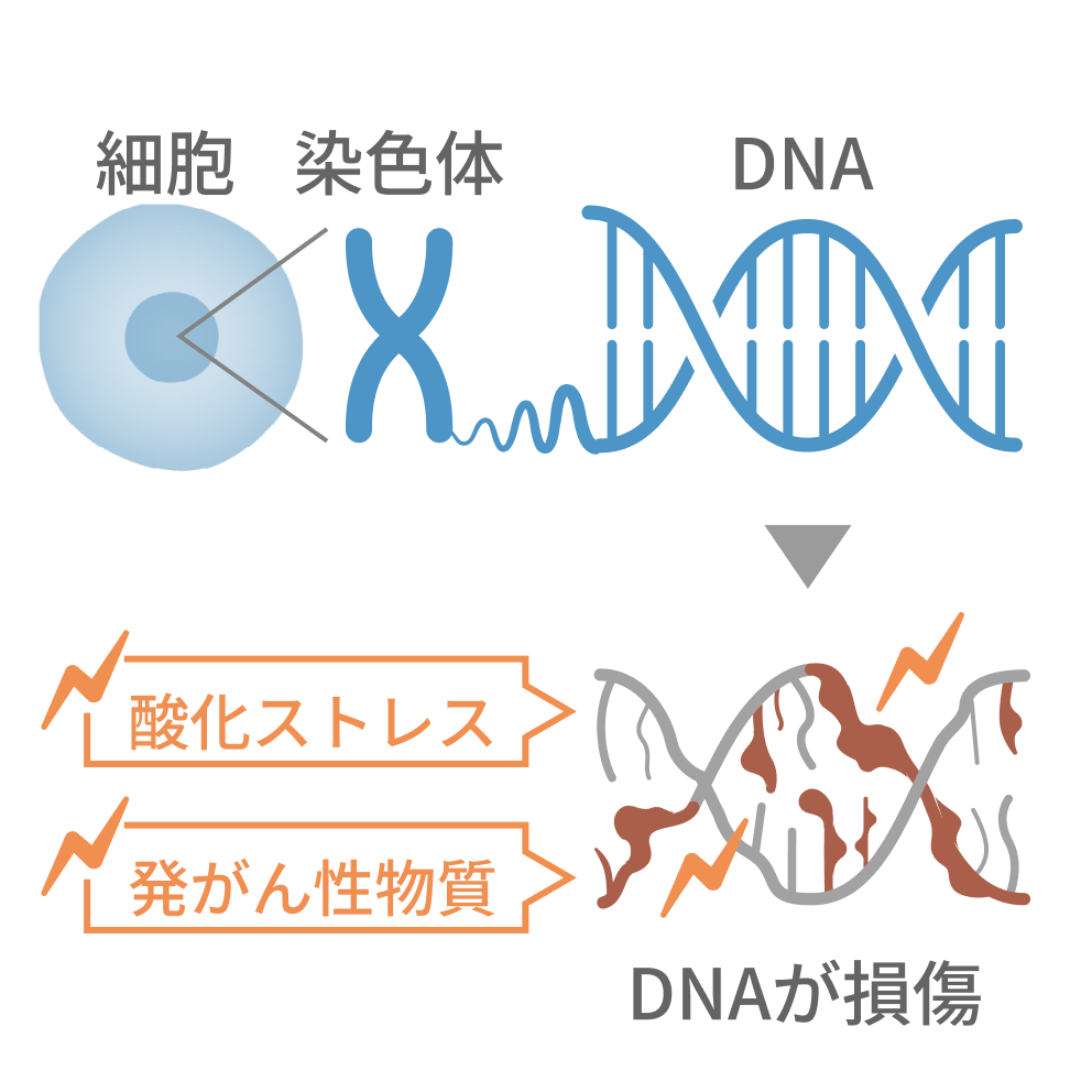 プロダクト技術説明画像1