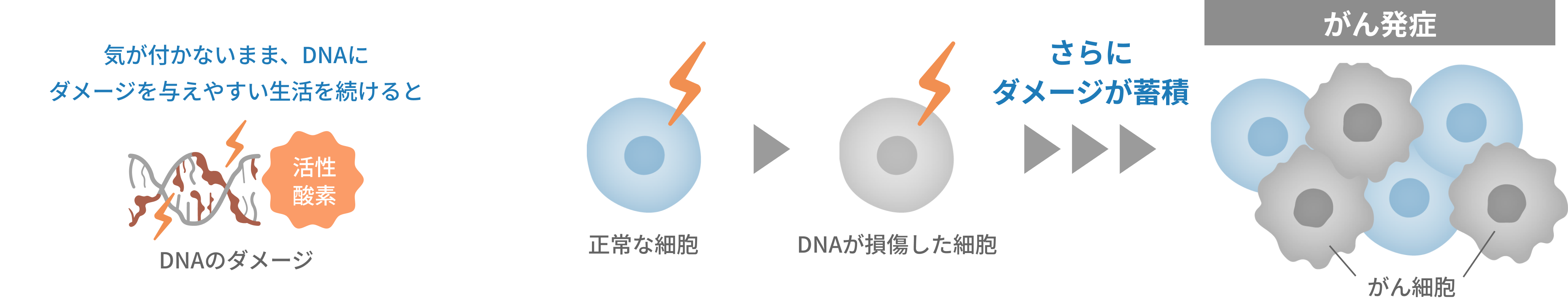 がん細胞は、DNAのダメージの蓄積である日突然出現します