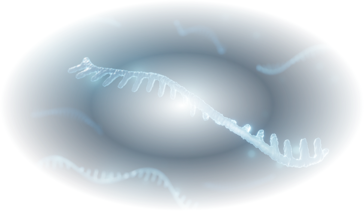 背景におくDNA画像