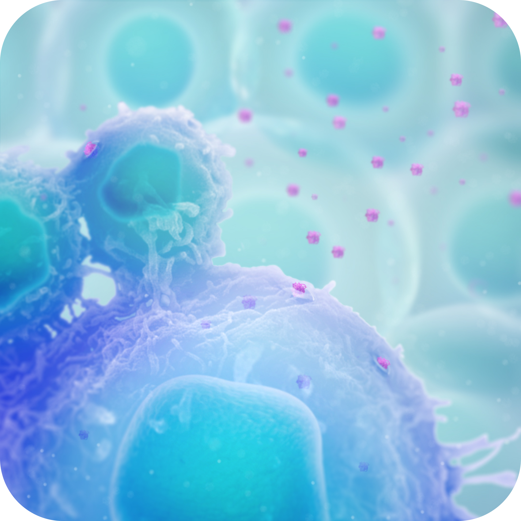 プロダクト技術説明メイン画像