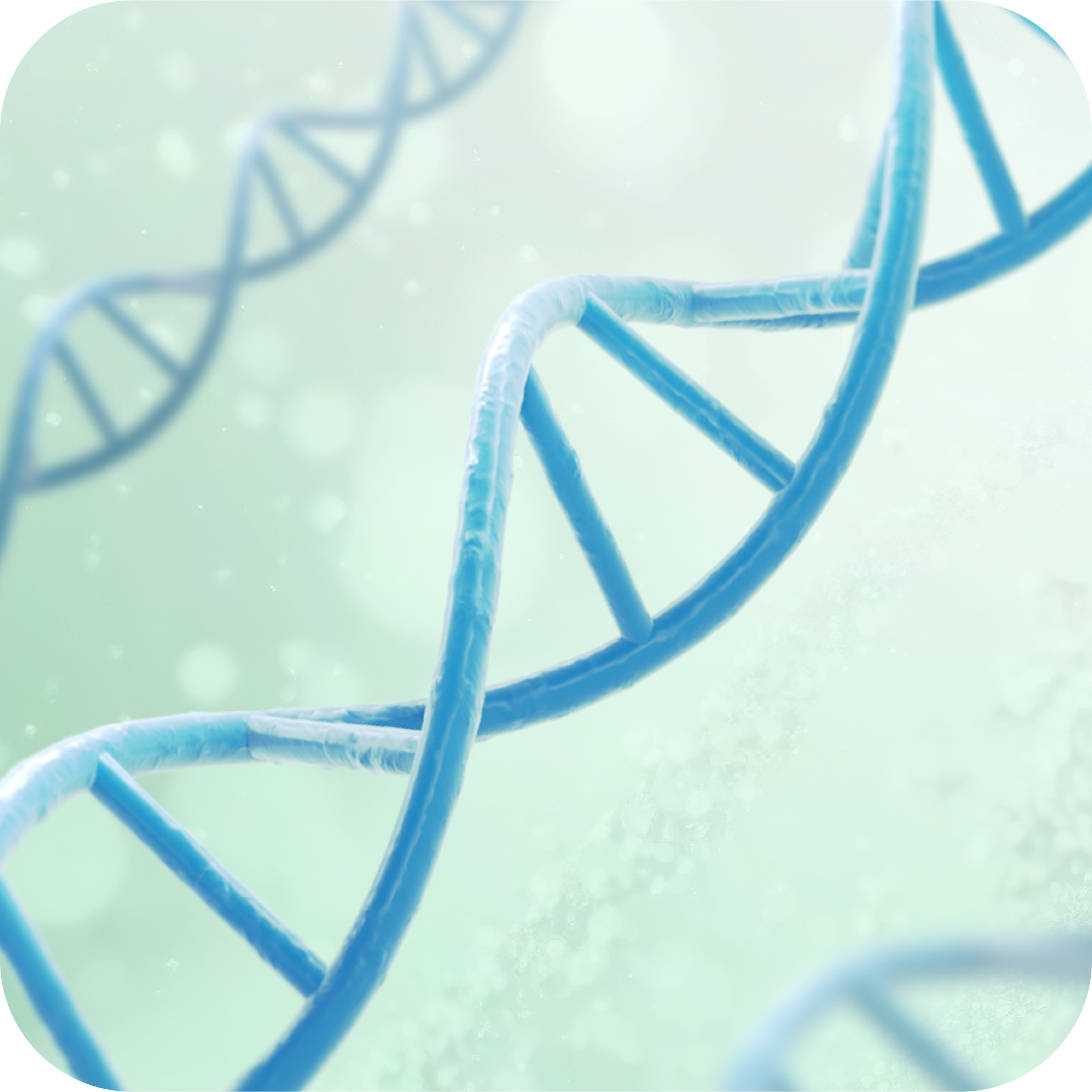 プロダクト技術説明メイン画像