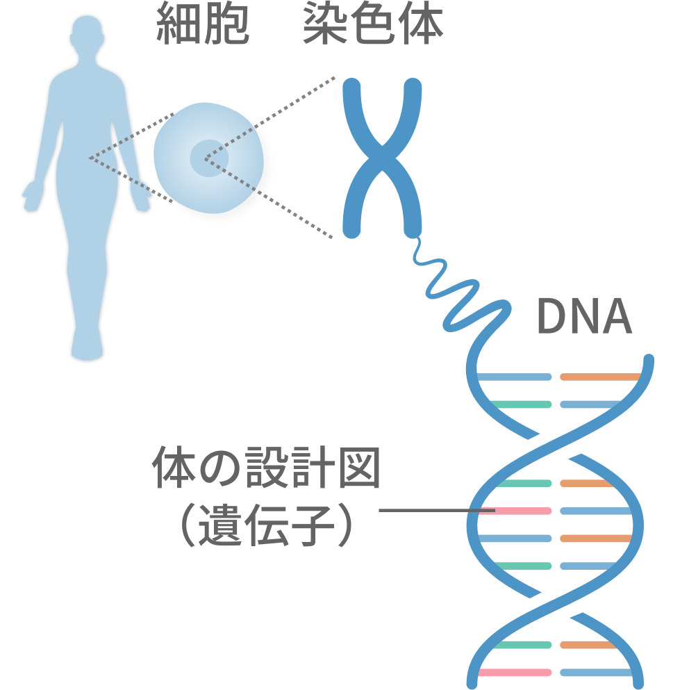 プロダクト技術説明画像1